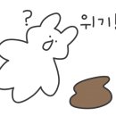 고냥C 이미지