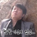 얼리마켓