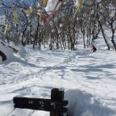 인제16-2 이미지