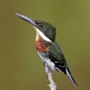 갈현체육공원1 이미지