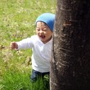 컴25시 Daum카페