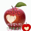 💘(샤트렌)행복인으로 다시 돌아오다 이미지