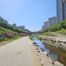 소풍길~솔개산 싱글 라이딩 이미지