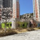 시립목감호반베르디움5차어린이집 이미지