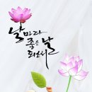 다뉴브 이미지