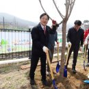 작은나무숲 이미지