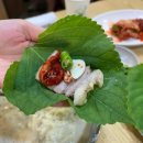 사계절 밑반찬 요리 | 세트로 나오는 손두부요리 전문점 ‘삼대째손두부’ 방문 내돈내산 솔직후기(위치,영업시간,주차,메뉴...