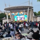 대청역 공영노외주차장 | 수원 축제, 만석거 새빛 페스타 성악가 김동규와 환상적인 축제 불꽃놀이 후기