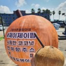 제주 해변 코코넛 쥬스 션~~~하당