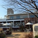 3002 | 부산 | 명지 애견동반 가능한 브런치카페 ‘포레스트3002’ 내돈내산후기+ 주말후기