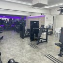 신정이용