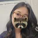 니컬라시 너 진짜 먼데 살대?