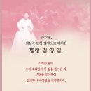 김영임 효 콘서트 | 김영임의 소리효대공연 관람후기