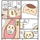 이프로 이미지
