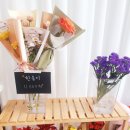 민지네농장 이미지