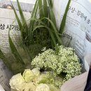 &#39;25 May 01 - 꽃과 가족과 함께한 5월의 초반