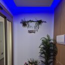 스테이돌덕 | 제주 한림 감성숙소 추천 .가족여행으로 정말 만족했던 독채 숙소 ‘스테이돌덕’ 후기[내돈내산]