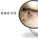 반월 이미지