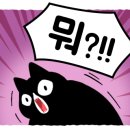 물만난 강아지 이미지
