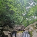 대소골 Daum카페