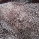 위너스동물병원 이미지