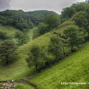 마루목장 이미지