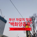 [부산나들이]양대창,양곱창의 노포원조,자갈치 시장 백화양곱창 찐 후기.