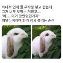 이가네 옛날국밥 이미지