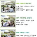 요가B 이미지
