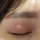 아담방 이미지