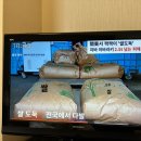 섬in섬 연홍미술관 | LIVE TOUR 2025 TIME STEW - 카가와(4) 다카마쓰 나오시마 미술관 섬(베네세하우스뮤지엄,지중미술관)