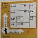 피노키오복싱 이미지