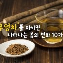 [건강정보 정보]"우엉차"를 마시면 나타나는 몸의 변화 10가지 이미지