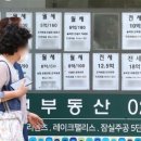 나라 부동산 공인중개사사무소 이미지