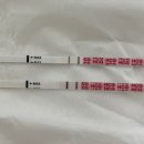 루이스산부인과의원 이미지