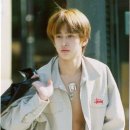 강아지클럽 이미지