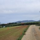 함평터미널 공인중개사사무소 이미지