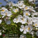88반점 이미지