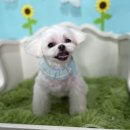 양덕동275 이미지