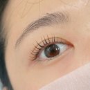 다산속눈썹펌 하고온 후기 주애브로우