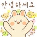 두린이 스토어