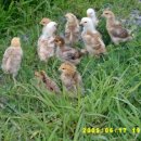 동혜농장 이미지