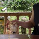 드로잉으로 만나는 소소한 일상 | 좀 더 사랑하는 쪽으로.