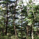 느티농원 이미지