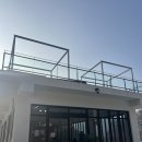 제주느낌 | 충주 애견동반 가능한 제주느낌 카페 오름카페 내돈내산 후기