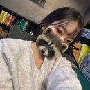 이노티안경원 대구봉덕점 | 대구 중구 남산동 안경 이노티안경 레이셀/클리어원데이 렌즈 후기