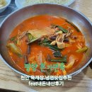 평양본가면옥 [천안육개장.냉면 맛집추천 feat 내돈내산후기]