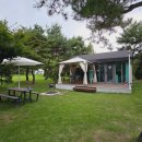 여주 마조렐글램핑리조트 | 여주 글램핑 [마조렐 글램핑 리조트]