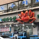 안양식물회 생방송투데이 여자수산 식당 본점 위치 영업시간 성지 정보