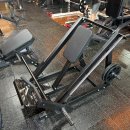 라이언스짐 | 나사렛대 주변 쌍용동 헬스장 라이언스짐 내돈내산 후기